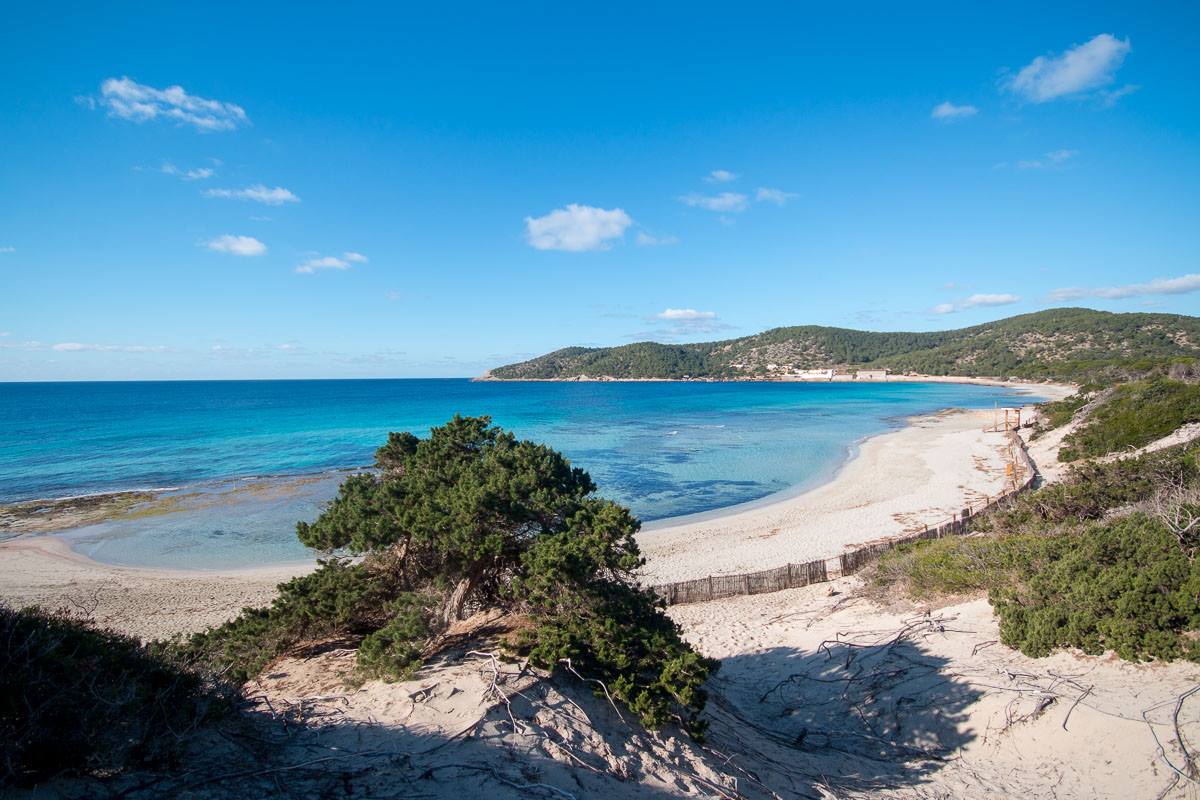 las salinas de ibiza